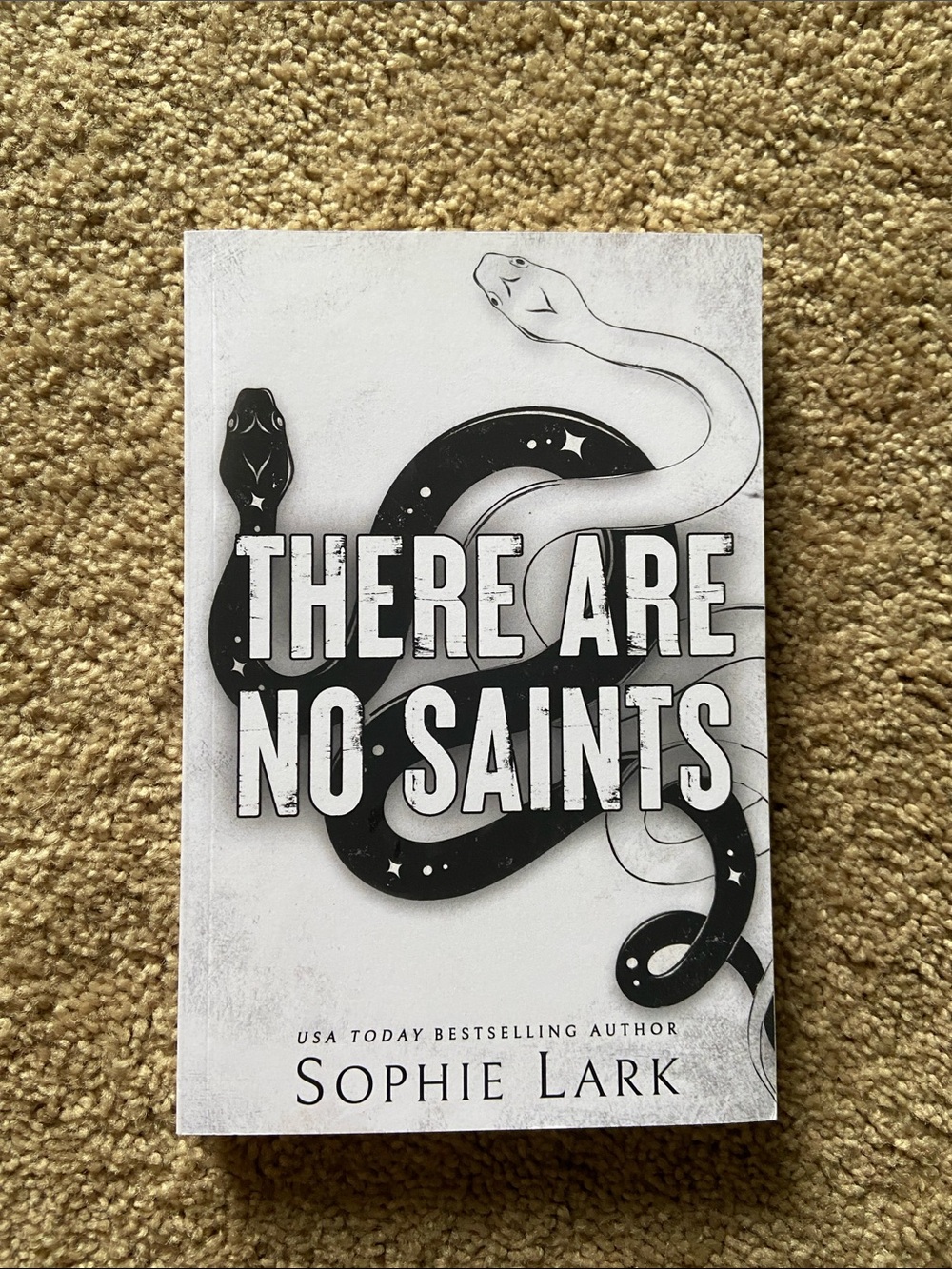 There Are No Saints- Sophie Lark